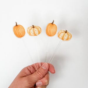 Palitos para revolver acrílicos con forma de calabaza / Palitos para revolver / Palitos para bebidas