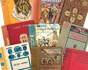 Vintage boekomslag Junk journal kit voorbereide rug met meer dan 20 verschillende boekpagina's