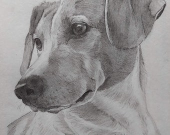 Personalized drawing of your pet