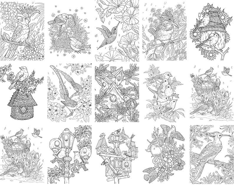 Pu&ograve; includere: Una pagina da colorare con una variet&agrave; di illustrazioni di uccelli. Gli uccelli sono raffigurati in varie pose, tra cui volare, appollaiati sui rami e costruire nidi. Le illustrazioni sono dettagliate e intricate, con un focus sulle piume e i becchi degli uccelli. La pagina &egrave; perfetta per adulti e bambini che amano colorare.