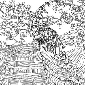 May include: A black and white line drawing of a peacock with its tail feathers spread out. The peacock is standing in front of a traditional Asian-style building with a cherry blossom tree behind it.