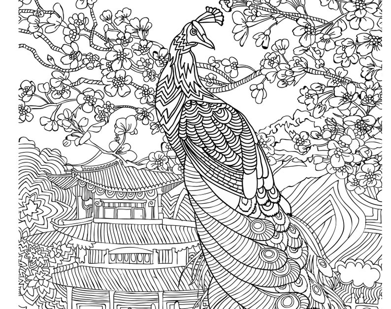 May include: A black and white line drawing of a peacock with its tail feathers spread out. The peacock is standing in front of a traditional Asian-style building with a cherry blossom tree behind it.