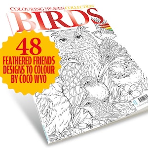 Pu&ograve; includere: Una copertina di un libro da colorare con un'illustrazione in bianco e nero di un gufo, un martin pescatore e altri uccelli. La copertina ha il titolo "Birds" e il testo "48 Feathered Friends Designs to Colour by Coco Wyo".