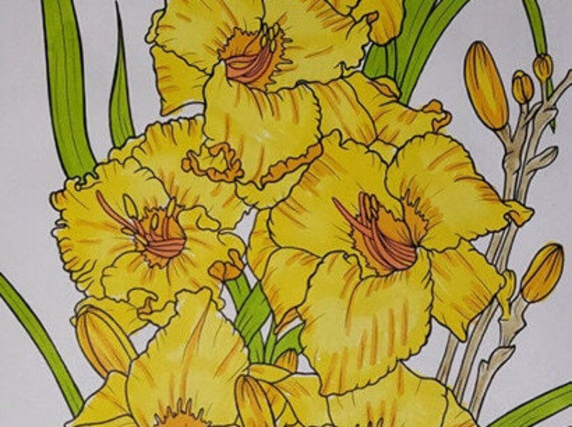 Colouring Heaven Collection Flowers (print Magazine) | Floral Colouring ...