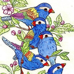 Pu&ograve; includere: Cinque uccelli colorati appollaiati su un ramo con foglie verdi e fiori rosa. Gli uccelli sono blu, verdi, gialli e viola. Gli uccelli sono disegnati in uno stile dettagliato con matita e matite colorate.