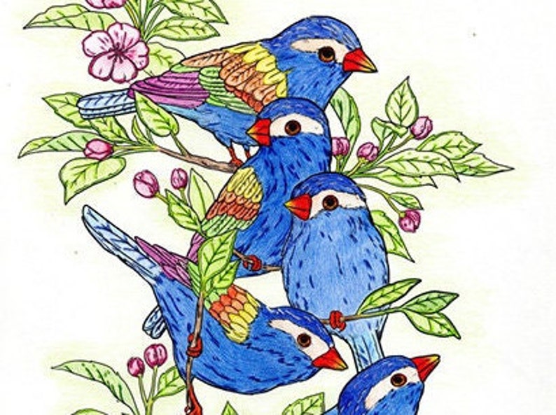 Pu&ograve; includere: Cinque uccelli colorati appollaiati su un ramo con foglie verdi e fiori rosa. Gli uccelli sono blu, verdi, gialli e viola. Gli uccelli sono disegnati in uno stile dettagliato con matita e matite colorate.