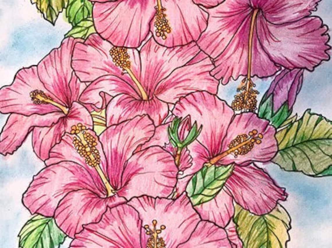 Colouring Heaven Collection Flowers (print Magazine) | Floral Colouring ...