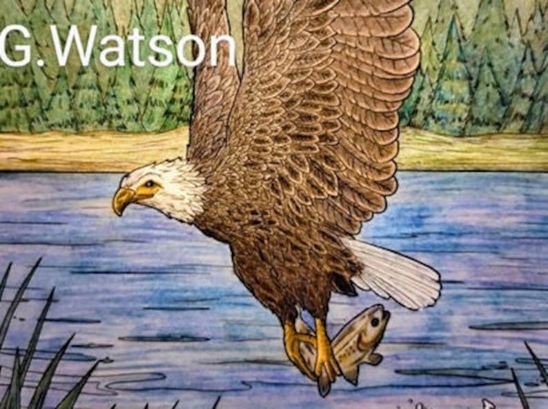 Pu&ograve; includere: Un'aquila calva marrone e bianca con le ali spiegate, che vola sopra un lago blu con un piccolo pesce nei suoi artigli. L'aquila sta volando verso il lato sinistro dell'immagine. Lo sfondo &egrave; una foresta verde con una riva sabbiosa.