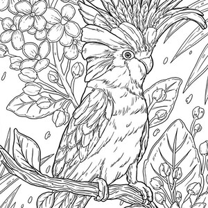 Pu&ograve; includere: Un disegno in bianco e nero di un cacatua appollaiato su un ramo con fiori e foglie. Il cacatua ha una grande cresta di piume sulla testa.