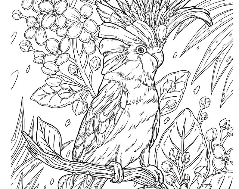 Pu&ograve; includere: Un disegno in bianco e nero di un cacatua appollaiato su un ramo con fiori e foglie. Il cacatua ha una grande cresta di piume sulla testa.