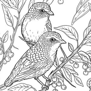 Pu&ograve; includere: Un disegno in bianco e nero di due uccelli appollaiati su un ramo con bacche. Gli uccelli hanno piume dettagliate e sono rivolti in direzioni diverse.