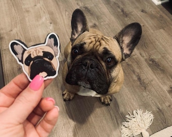 May include: A brown and white French bulldog looking up at the camera. A hand is holding a sticker of a French bulldog in front of the dog.