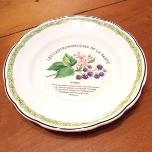 Les Gastronomiques De La Sante Gien France - Salad Dessert Plate Blackberries Motif Green Border