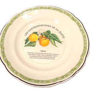 Les Gastronomiques De La Sante Gien France - Salad Dessert Plate Apricot Motif Green Border