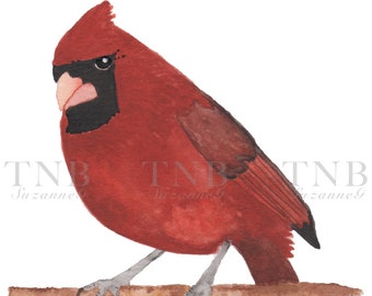 Cheeky Cardinal 5x7" giclée print