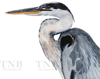 Great Blue Heron, Watercolor, 5x7" Giclée Print from original painting