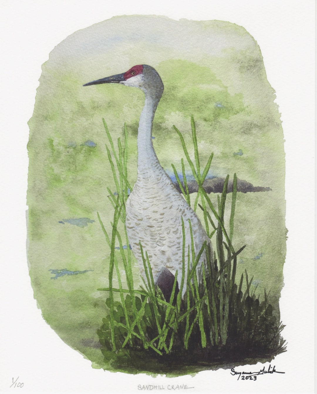 Sandhill Crane 8x10" Limited Series Print of My Original Watercolor - Etsy