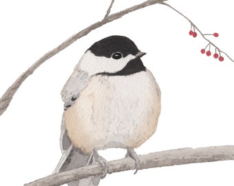 Stout little Chickadee is a 5x7" Giclee print of my original watercolor painting