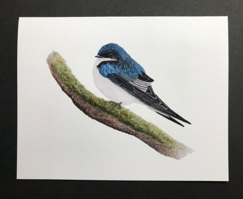Tree Swallow Notecards, Boxed set of 10 cards and envelopes, designed from my original watercolor painting image 1