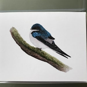 Tree Swallow Notecards, Boxed set of 10 cards and envelopes, designed from my original watercolor painting image 3