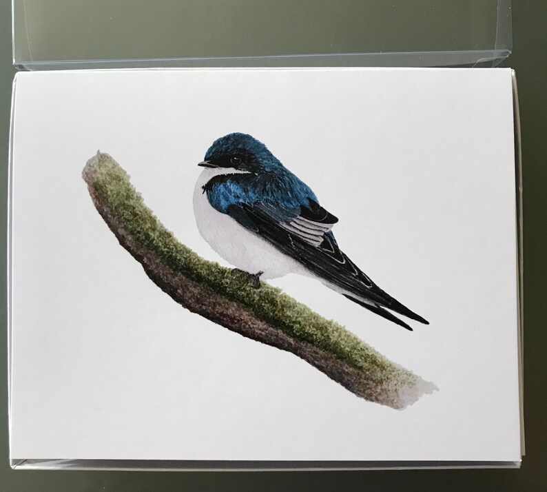 Tree Swallow Notecards, Boxed set of 10 cards and envelopes, designed from my original watercolor painting image 3