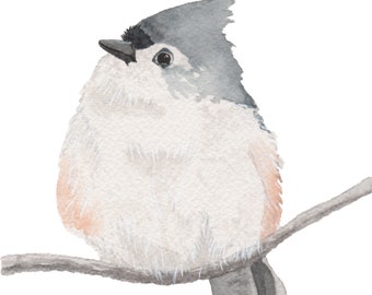 Tufted Titmouse On A Windy Day 5x7" Giclee Print of my original watercolor painting Nov. 2022