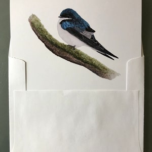 Tree Swallow Notecards, Boxed set of 10 cards and envelopes, designed from my original watercolor painting image 2