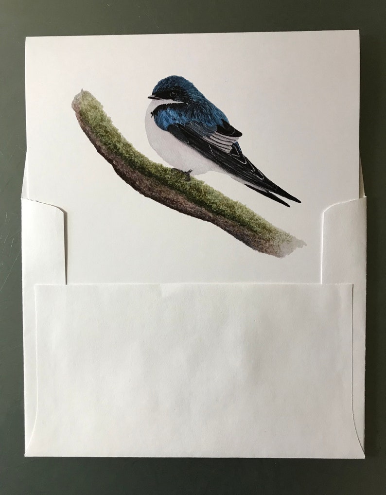 Tree Swallow Notecards, Boxed set of 10 cards and envelopes, designed from my original watercolor painting image 2