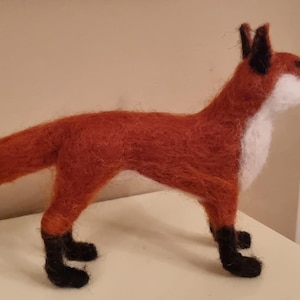 Mr Fox