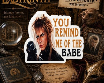 Movie Quote/ Labyrinth/ Goblin King/ Jareth/ David Bowie/ You remind me of the babe