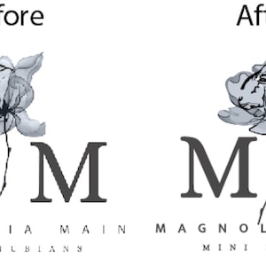 May include: The image displays a logo with a floral design above two large, dark gray capital "M" letters. Below the letters, the words "MAGNOLIA MAIN" and "MINI NUBIANS" are written in a smaller font, all against a white background.