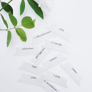May include: White Bible tabs with black text, including titles like "1 Thessalonians" and "2 Timothy", are scattered on a white surface. A white rose and green leaves are in the background. Ideal for organizing a Bible.