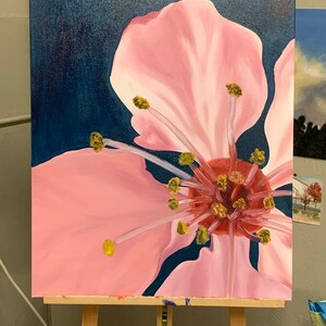 Pink Cherry Blossom