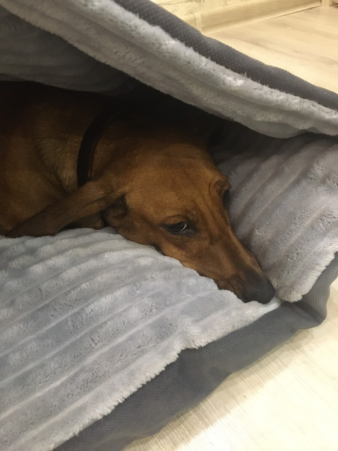 Warme Tasche für Hund Schlafsack für Haustiere Kapuzenbett Etsy