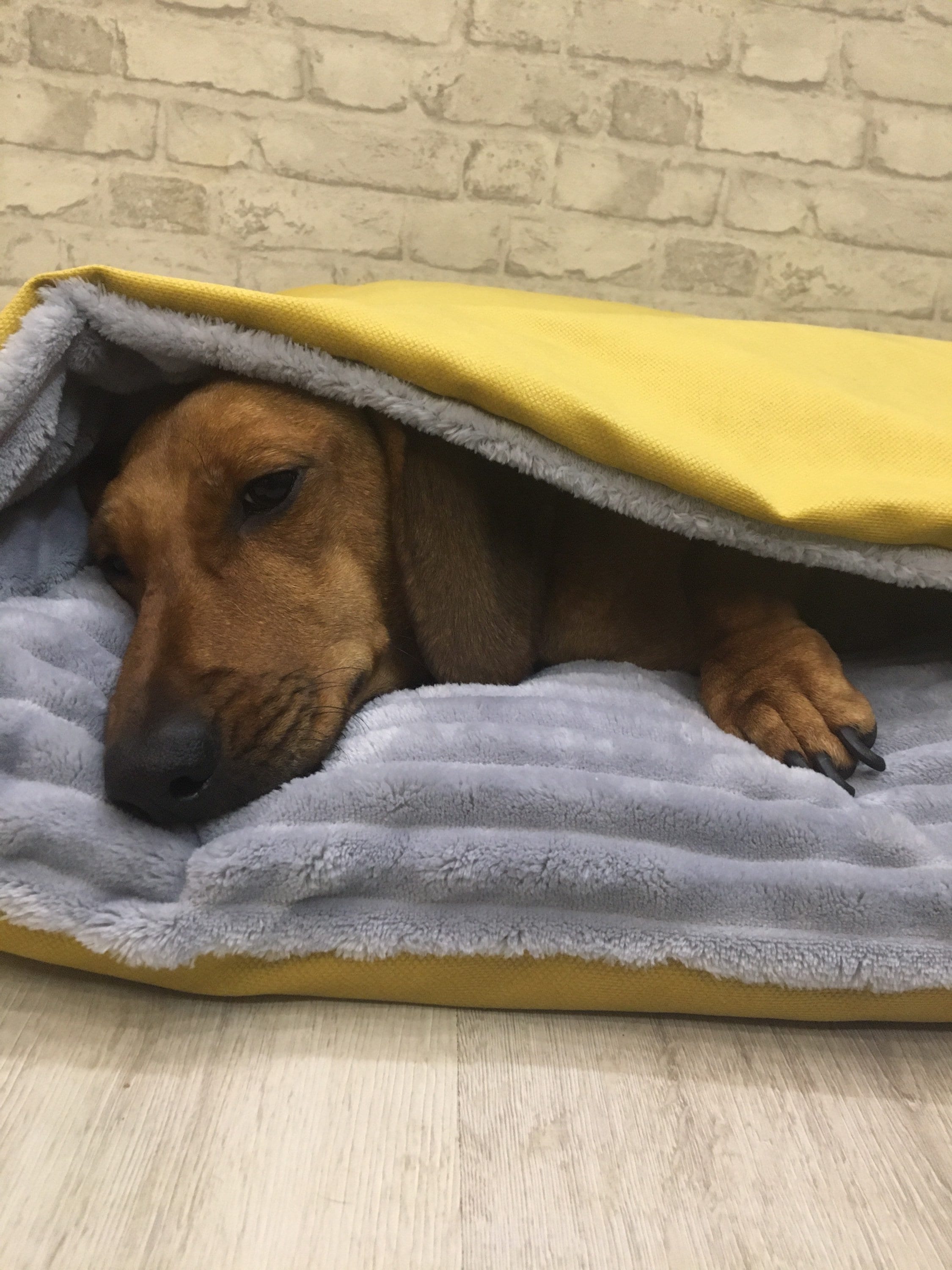 Bed Cave bedding mink for pets dog bed Blanket for cats Etsy