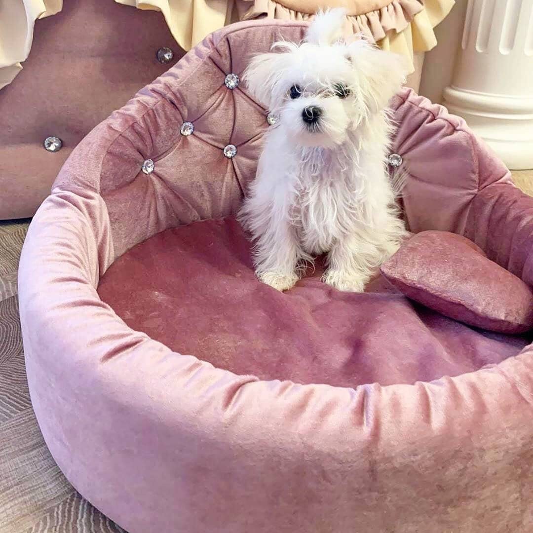 Best and very beautiful pet Bed Dog Bed for a princess with a Etsy