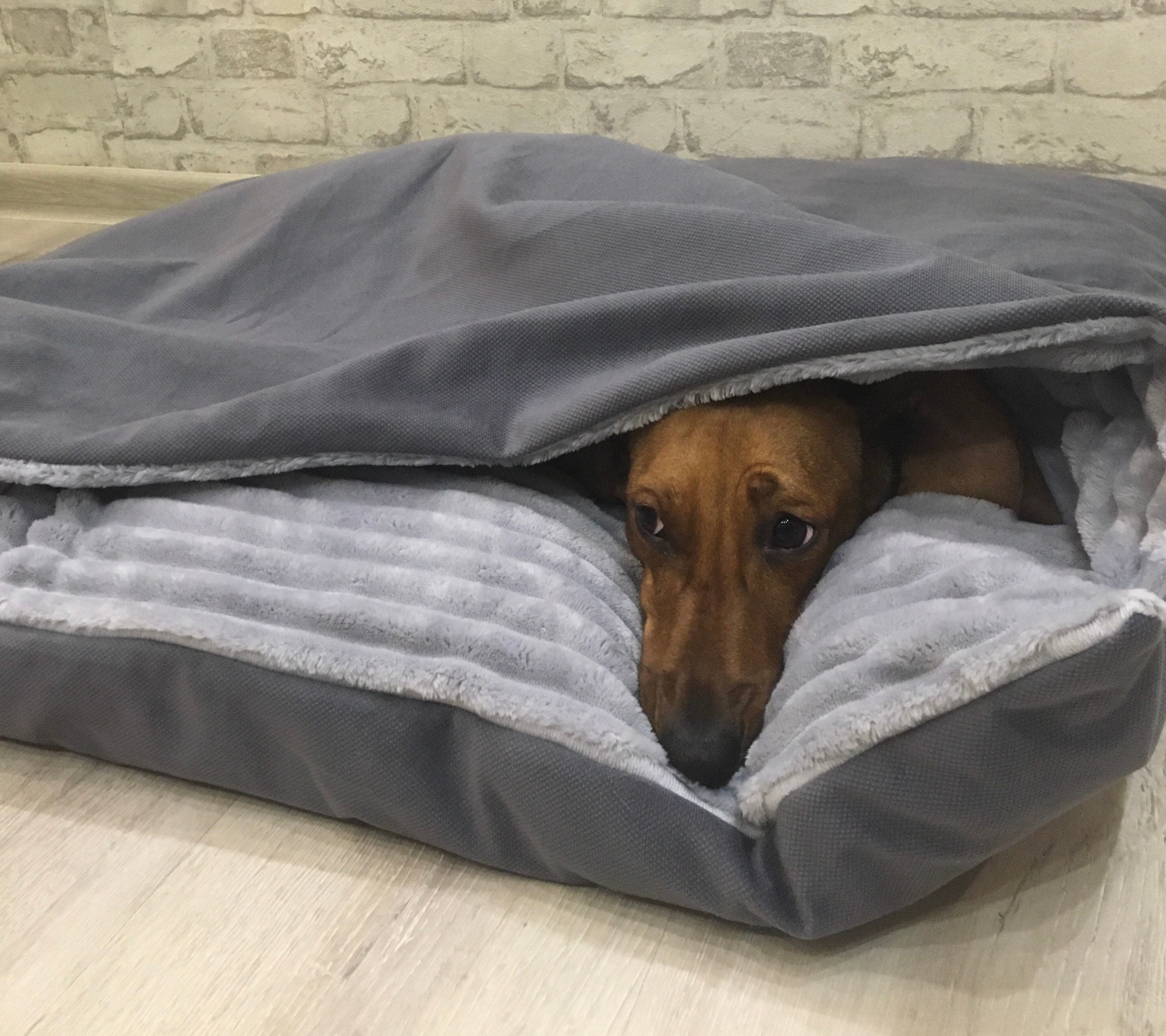 pocket dog bed