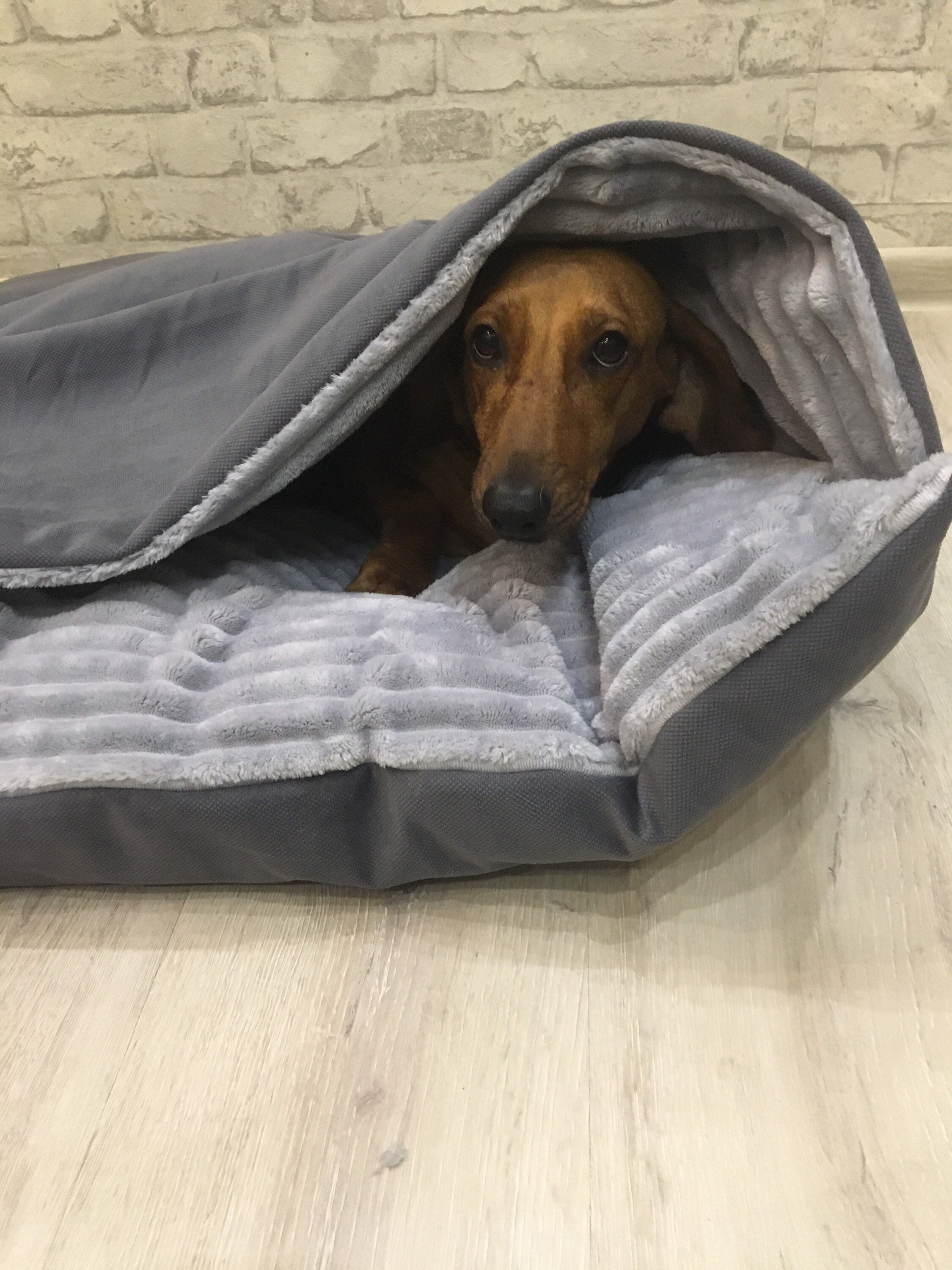 cama para perros con manta