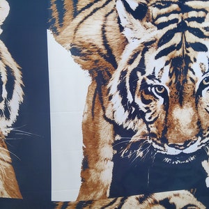 May include: A close-up of a tiger's face with brown and black stripes. The tiger's eyes are open and looking directly at the viewer. The background is a dark blue colour.