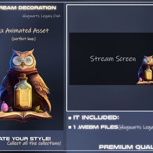 May include: Animated stream overlay featuring a brown owl wearing glasses and a red scarf, holding a bottle and a book. The text "Stream Decoration" and "Hogwarts Legacy Owl" is visible.
