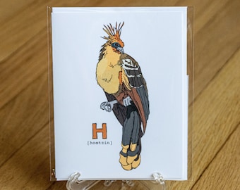 Funky Animal Alphabet Card: Hoatzin