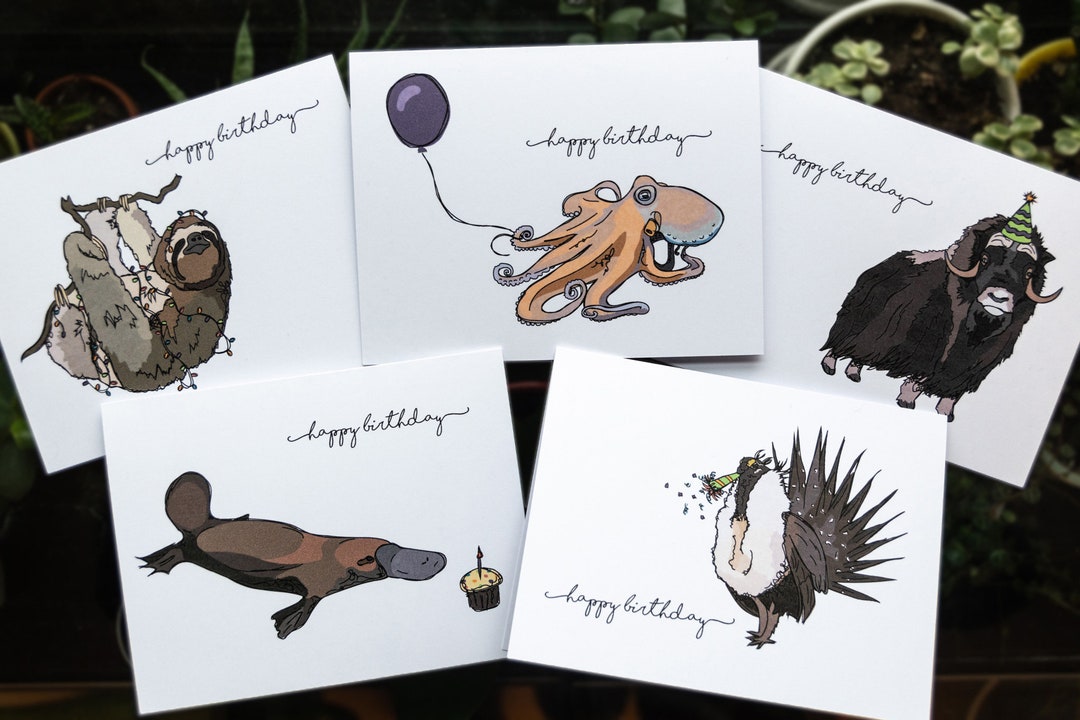 Funky Animal Birthday Card Set: Sloth Version (5 Designs, 5 or 15 Cards ...