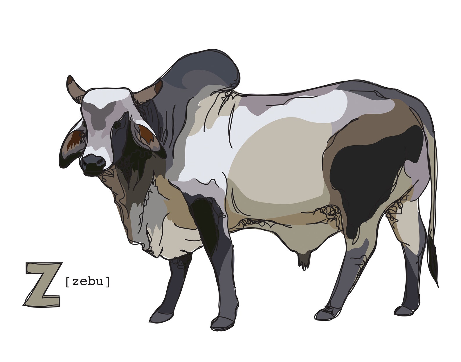 Funky Animal Alphabet Card Zebu Etsy