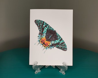 CFFM: Geometric Moth Card