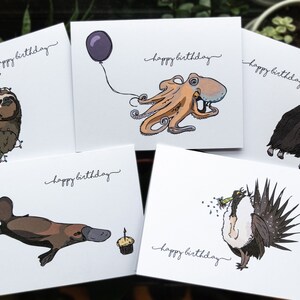 Pu&ograve; includere: Set di cinque biglietti d'auguri con diversi animali. Ogni biglietto ha uno sfondo bianco con testo nero che dice "buon compleanno". Gli animali includono un bradipo, un polpo, un bue muschiato, un ornitorinco e un gallo cedrone.