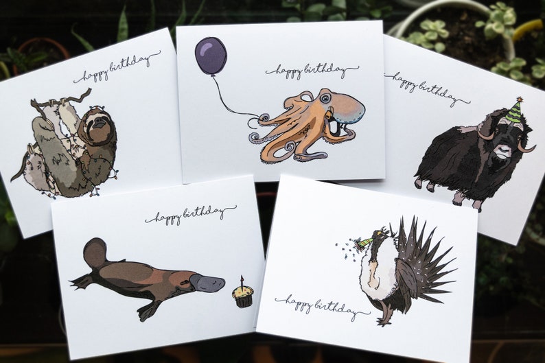 Pu&ograve; includere: Set di cinque biglietti d'auguri con diversi animali. Ogni biglietto ha uno sfondo bianco con testo nero che dice "buon compleanno". Gli animali includono un bradipo, un polpo, un bue muschiato, un ornitorinco e un gallo cedrone.