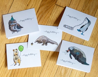 Set di biglietti di auguri di compleanno con animali funky: versione Quokka (5 design, 5 o 15 biglietti)