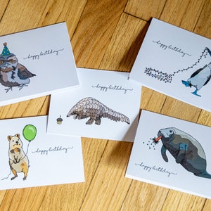 Pu&ograve; includere: Cinque diverse cartoline di auguri con animali illustrati e il testo "buon compleanno". Gli animali sono un gufo con un cappello da festa, un formichiere, una sula dalle zampe blu, un quokka che tiene un palloncino e un lamantino.
