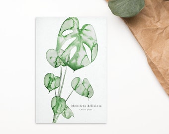 Plant Postcards, Cheese plant cards, Monstera, Botanical Painting, Gifts for Gardeners, 4x6 Cards, Thank You Cards, Packs of Cards