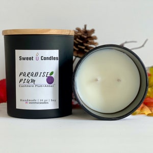 Paradise Plum Scented Candle: Handmade Soy Wax, 10 oz